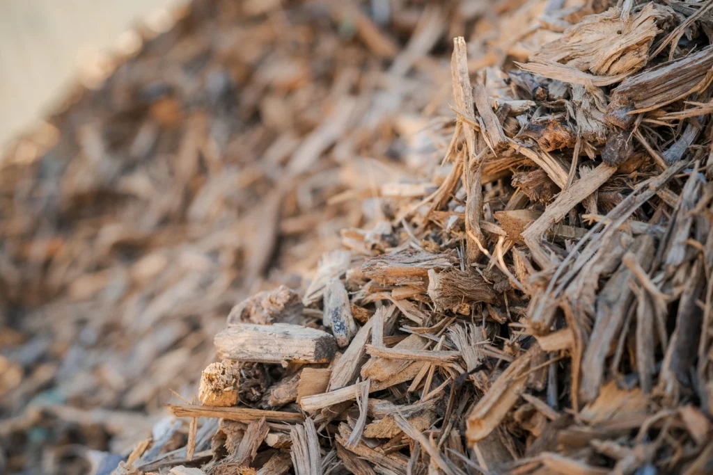 biomasse valorisation de votre bois energie